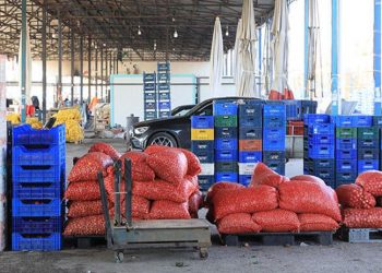 Rusya-Ukrayna savaşı üreticiyi vurdu, ihraç ürünleri elde kaldı