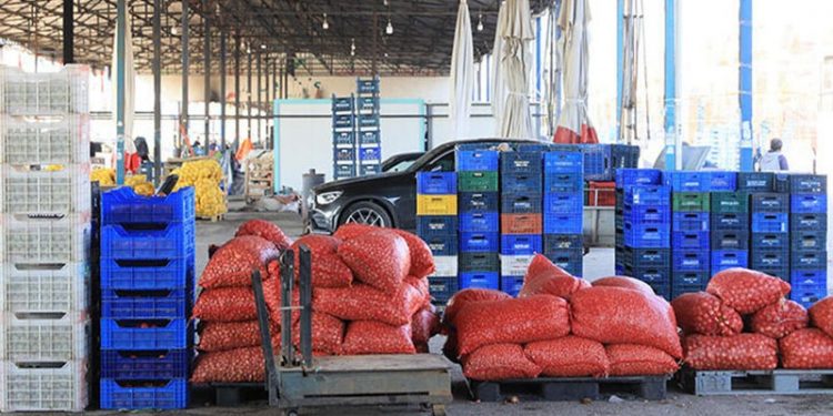 Rusya-Ukrayna savaşı üreticiyi vurdu, ihraç ürünleri elde kaldı