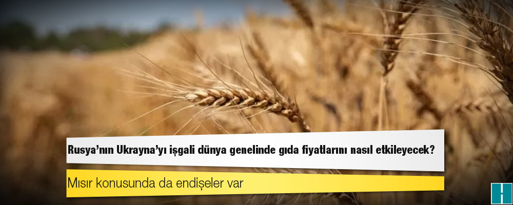 Rusya'nın Ukrayna'yı işgali dünya genelinde gıda fiyatlarını nasıl etkileyecek?