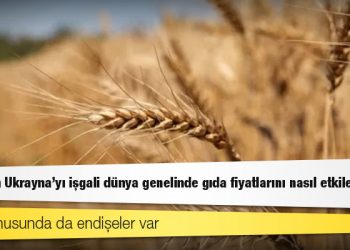 Rusya'nın Ukrayna'yı işgali dünya genelinde gıda fiyatlarını nasıl etkileyecek?