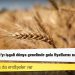Rusya'nın Ukrayna'yı işgali dünya genelinde gıda fiyatlarını nasıl etkileyecek?