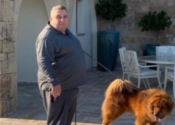 Soykan'dan Halil Falyalı suikastı yorumu: Üç ana olasılık var