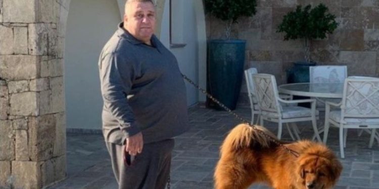 Soykan'dan Halil Falyalı suikastı yorumu: Üç ana olasılık var