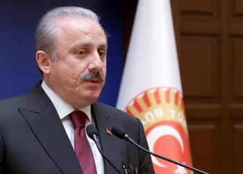 TBMM Başkanı Şentop, Samsun ve Edirne'de heykellere saldırıyı kınadı: Bir karanlık el geçmişte olduğu gibi provokasyonlar denemektedir