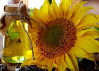 TMO 6 bin ton ham ayçiçek yağı aldı: Kriz kapıda mı?