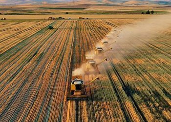 Tarımsal girdi fiyat endeksi yıllık yüzde 45,61 arttı