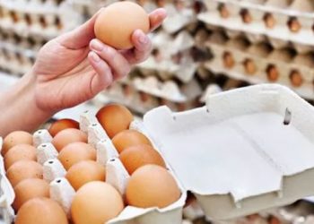 Ticaret Bakanlığı, KDV indirimi öncesindeki yumurta zammına ilişkin müfettiş görevlendirdi