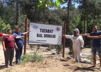 Tuzabat sakinleri madene karşı açtığı davayı kazandı