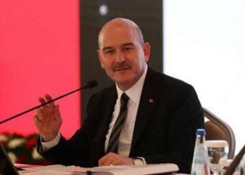 Türkiye vatandaşlığına geçen Suriyeli sayısı açıklandı