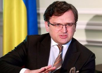 Ukrayna: Rusya ve Viyana Belgesi’nin tüm imzacılarıyla 48 saat içinde toplantı talep ettik