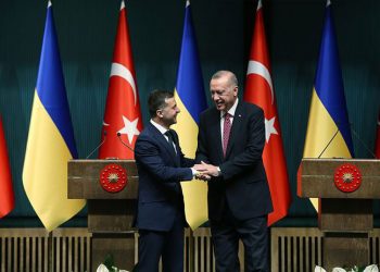 Ukraynalı vekil: Türkiye ile Rusya'ya karşı belli başlı konularda anlaştık