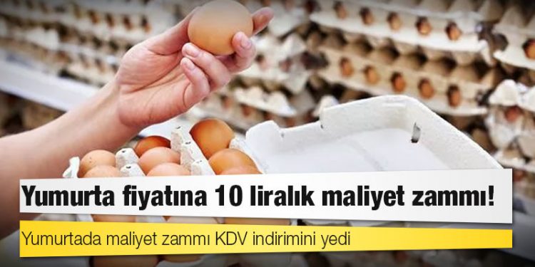 Yumurtada maliyet zammı KDV indirimini yedi
