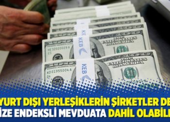 Yurt dışı yerleşiklerin şirketler de d&ouml;vize endeksli mevduata dahil olabilecek