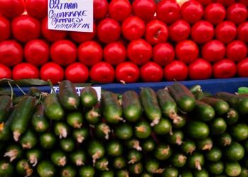 Üreticiler: Ucuz sebze-meyve artık bir hayal