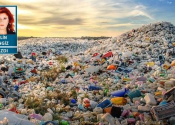 Üstüne para verip sokağın çöpünü evinizin içine döker misiniz?