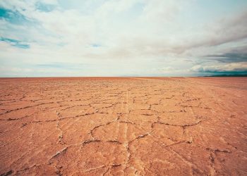 İklim krizi araştırması: Dünyada 216 milyon kişi göç etmek zorunda kalabilir