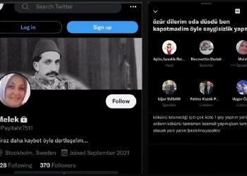 İsveç’te yaşayan AKP’li kadın trolden soykırım çağrısı: ‘Hitler gibi bunları fırınlara doldurup yakacaksın’