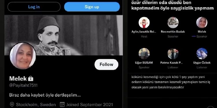 İsveç’te yaşayan AKP’li kadın trolden soykırım çağrısı: ‘Hitler gibi bunları fırınlara doldurup yakacaksın’