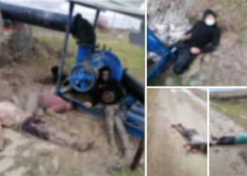 ‘Geri itme’ faciası; darp edilip gönderilen 12 mülteci donarak öldü