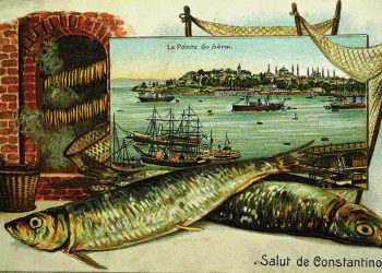 ‘Levrek Efendi’ ve anlatmak istememek…