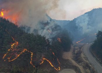 Güney Kore’de nükleer tesise yakın bölgede orman yangını