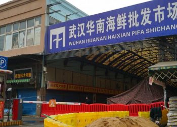 Koronavirüs ilk nereden çıktı? Bilim insanları, virüsün kaynağını araştırmaya devam ediyor