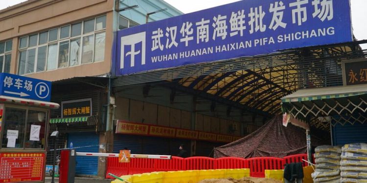 Koronavirüs ilk nereden çıktı? Bilim insanları, virüsün kaynağını araştırmaya devam ediyor