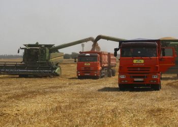 Buğdayda yeterlilik derecesi: Türkiye, Ukrayna ve Rusya’ya bağımlı mı?