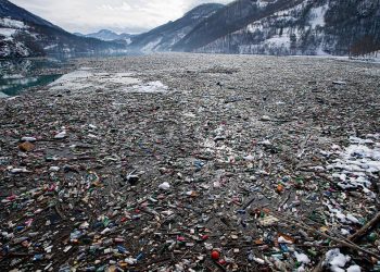 İnsan kanında ilk defa mikroplastiklere rastlandı; araştırmacılara göre sonuçlar endişe verici