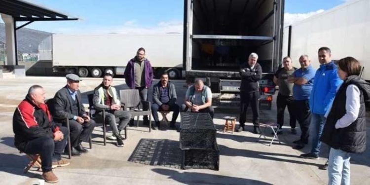 16 Ukraynalı TIR şoförü Antalya'da mahsur kaldı