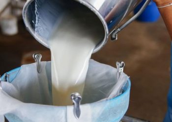 Üreticiler, çiğ sütün satış fiyatında artış talep etti