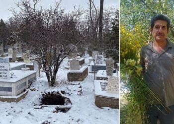 1'inci Derece Sit Alanındaki mezarlıkta define kazısı yapanlardan biri profesör çıktı