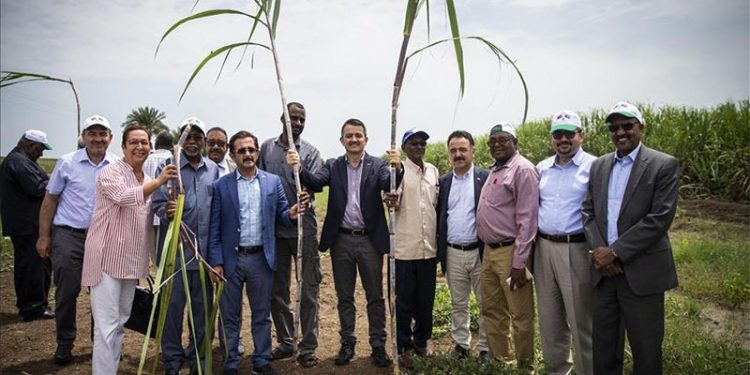 2020 raporu: Faaliyeti olmayan Türkiye-Sudan tarım şirketi yönetimine 416 bin lira maaş