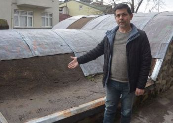 840 yıllık türbenin çatı levhalarını çaldılar