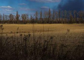 ABD’li düşünce kuruluşu savaşın 40 milyon kişiyi aşırı yoksulluğa itebileceği uyarısında bulundu