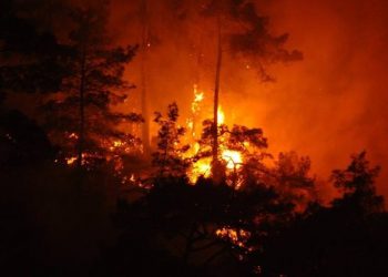 ABD’nin Colorado eyaletinde orman yangını nedeniyle 19 bin kişi tahliye edildi