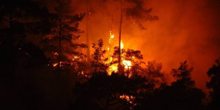 ABD’nin Colorado eyaletinde orman yangını nedeniyle 19 bin kişi tahliye edildi