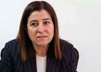 AK Partili vekilden ay&ccedil;i&ccedil;ek ve buğday alarmı: Ne olur her yere ekin