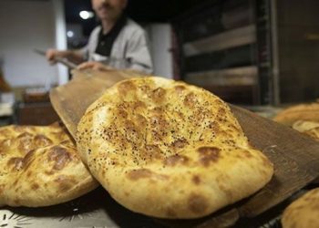 AKP'li Elitaş: Pide hemen bayatlar, ekmek bayatlamaz