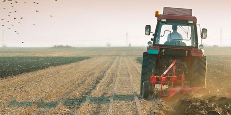 AKP'li vekillerden üreticilere 'tavsiye': İhtiyacınız kadar alın, stokçular satamazlarsa fiyatları düşürmek zorunda kalırlar