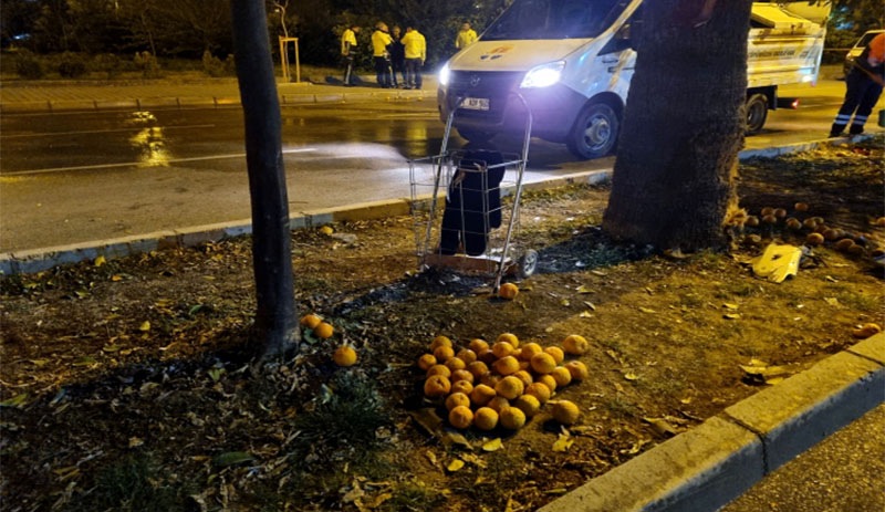 Adana'da turunç toplayan kadınlara otomobiller çarptı: 3 kişi hayatını kaybetti