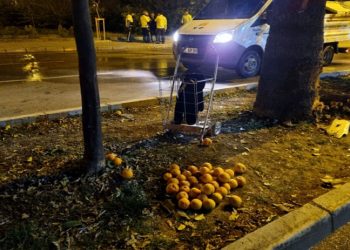 Adana'da turunç toplayan kadınlara otomobiller çarptı: 3 kişi hayatını kaybetti