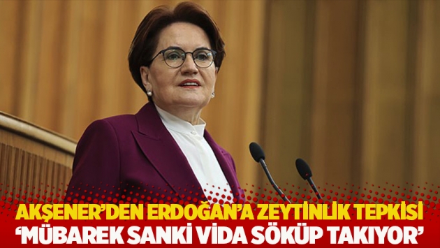 Akşener'den Erdoğan'a zeytinlik tepkisi: Mübarek sanki vida söküp takıyor