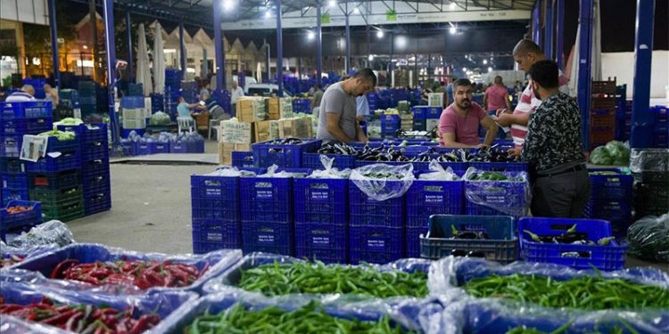 Akaryakıt zamları, nakliye masraflarını katladı