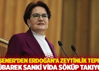 Akşener'den Erdoğan'a zeytinlik tepkisi: M&uuml;barek sanki vida s&ouml;k&uuml;p takıyor