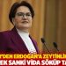 Akşener'den Erdoğan'a zeytinlik tepkisi: M&uuml;barek sanki vida s&ouml;k&uuml;p takıyor
