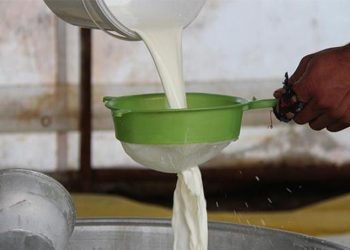 Artan maliyetle birlikte Türkiye Ziraat Odaları Birliği’nden çağrı: Süt fiyatı revize edilmeli