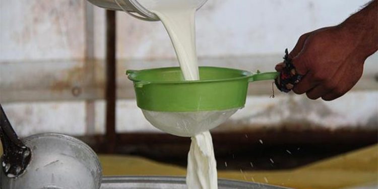 Artan maliyetle birlikte Türkiye Ziraat Odaları Birliği’nden çağrı: Süt fiyatı revize edilmeli