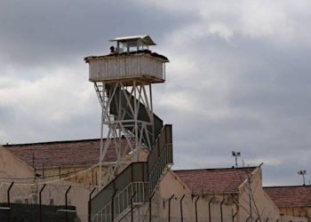 Açlık grevi devam eden Mardin Cezaevi'nde tutuklulara 'din kursu' zorlaması