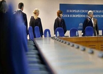 AİHM Türkiye'nin Vedat Şorli kararına itirazını reddetti